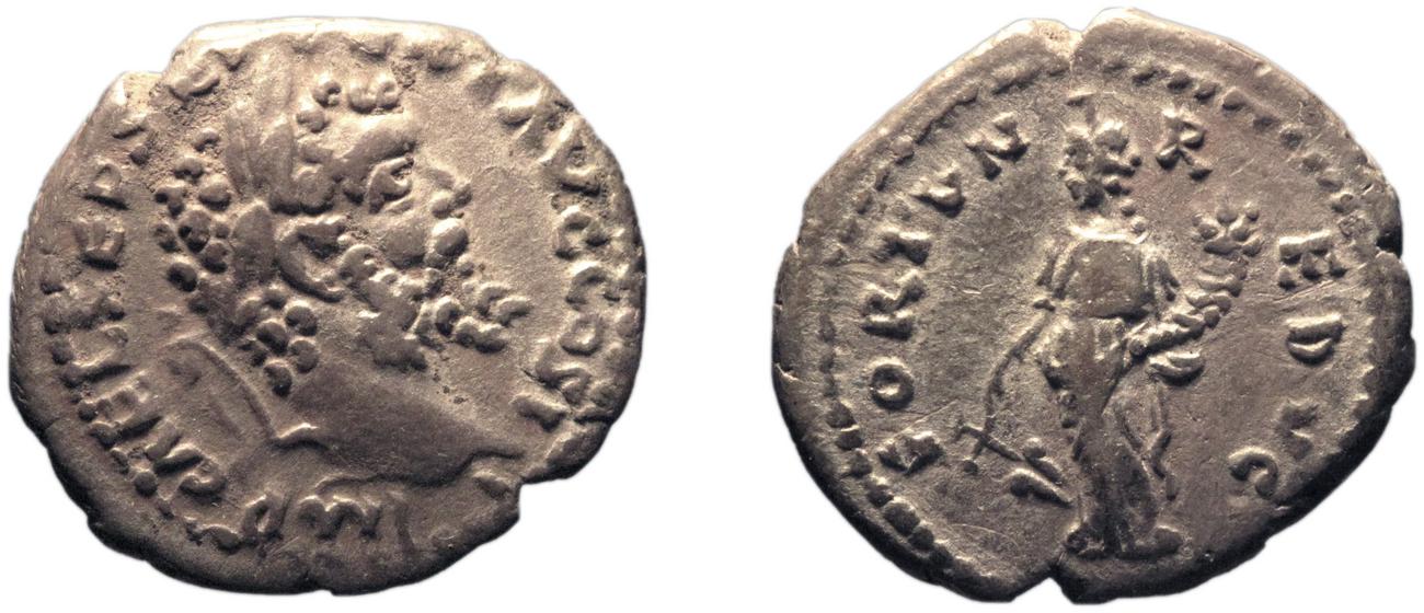 RIC IV Septimius Severus 377, аверс, bm