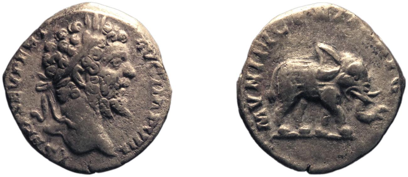 obverse RIC IV Septimius Severus 82