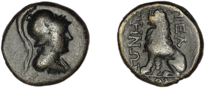 Peltae BMC Peltae 1-2, реверс, bm