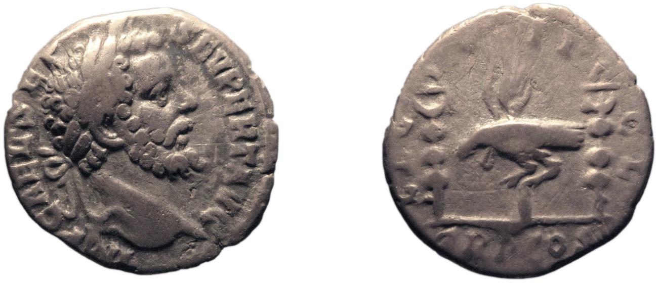 аверс RIC IV Septimius Severus 10