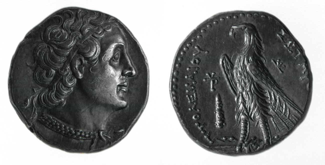 obverse Coins of the Ptolemaic Empire Vol. I, Part 1, no. 567
