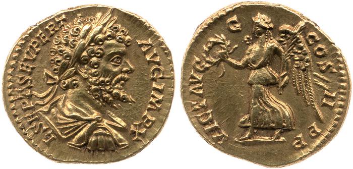 реверс RIC IV Septimius Severus 120A