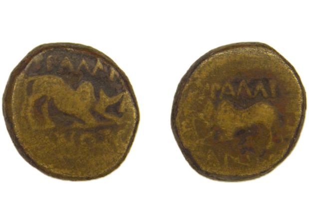 Tralles BMC Tralles 66-8, реверс, bm