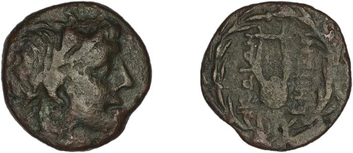 Cos Stefanaki 2012 18.50, реверс, bm