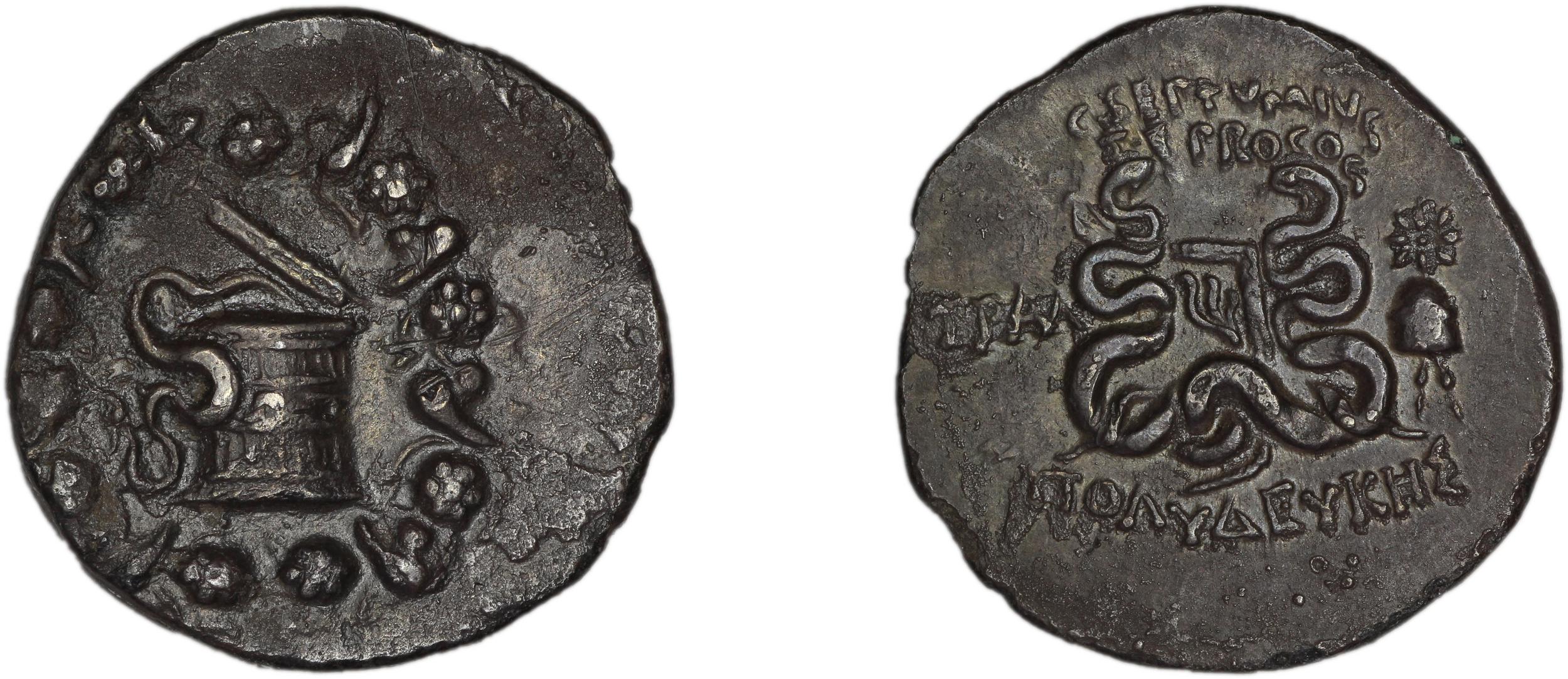 obverse C. Septimius, governor of Asia Tralles Metcalf 2017 XIII