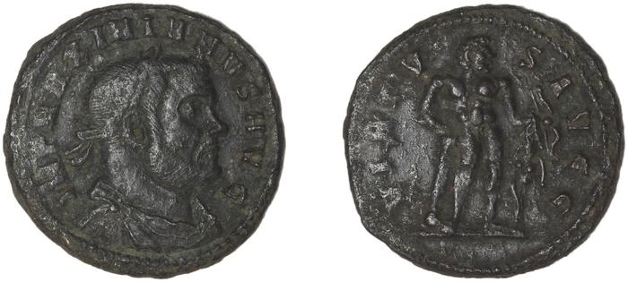 reverse RIC V Diocletian 534