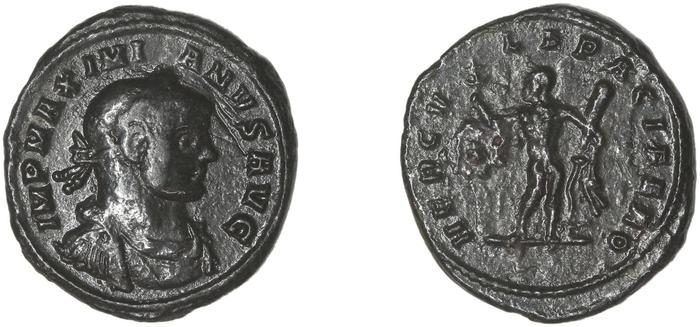 reverse RIC V Diocletian 532