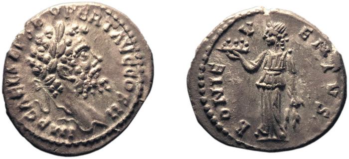 RIC IV Septimius Severus 369, реверс, bm