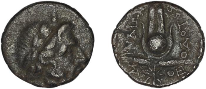 Myndus Zabel and Meadows 2002 Group B, реверс, bm