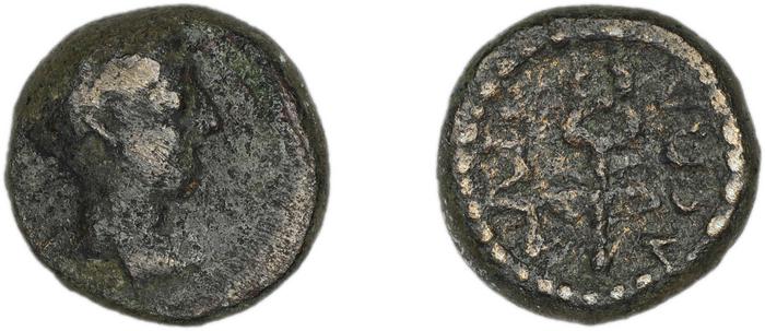 реверс Halicarnassus BMC Halicarnassus 72