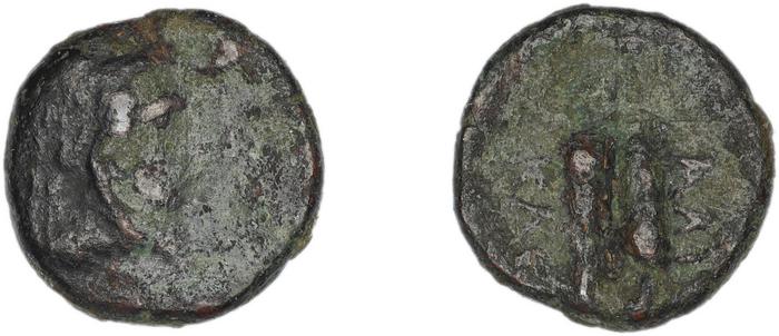 реверс Halicarnassus BMC Halicarnassus 38-42