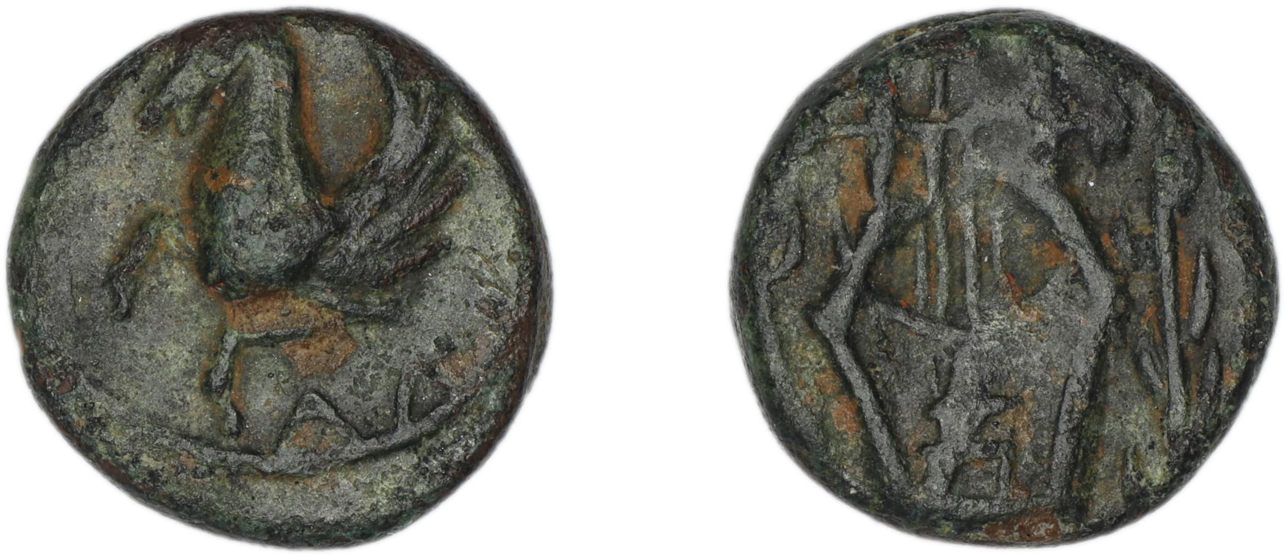 Halicarnassus Ashton 2006 pl. 2, 16, аверс, bm