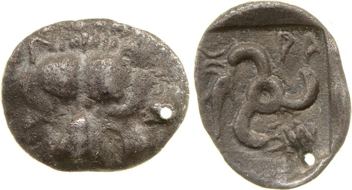 Mithrapata Lycia Hoff 2017 M224-8, реверс, bm