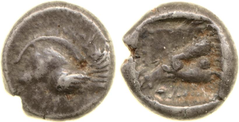 аверс Ialysus Weiss_Hurter_1998 Pl. 3.10-12
