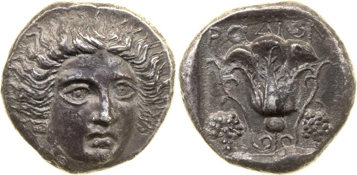 реверс Rhodes Ashton 2001 7-9