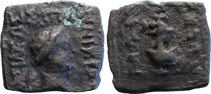 аверс Bactrian and Indo-Greek Coinage Nicias 6.3