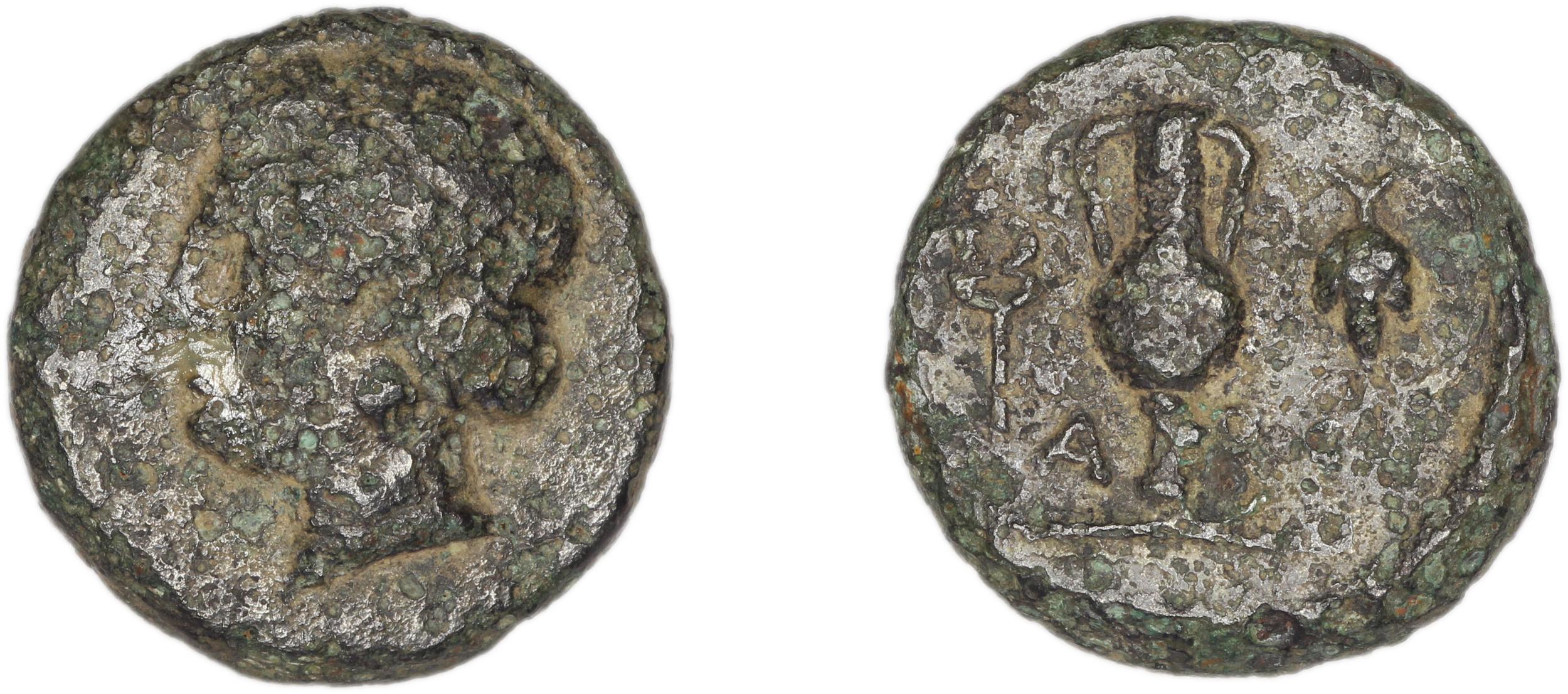 Larissa Phriconis Babelon 1910 2069, аверс, Британский музей