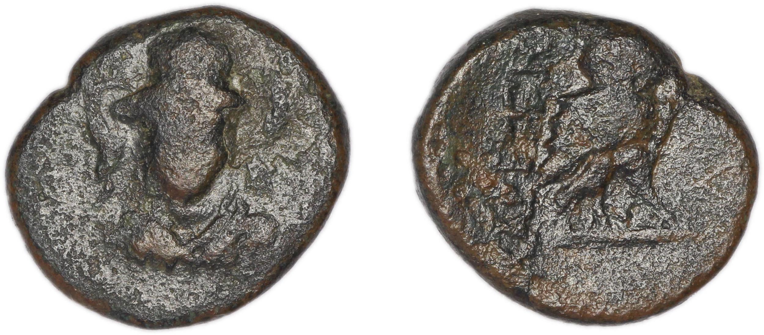 Lebedus Kinns 1980 Period III, AE 5, аверс, Британский музей