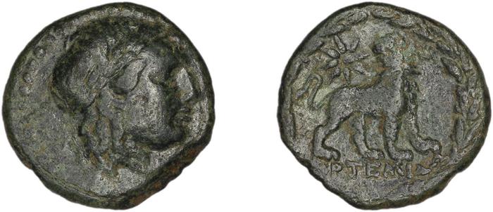 реверс Miletus Marcellesi 2004 49