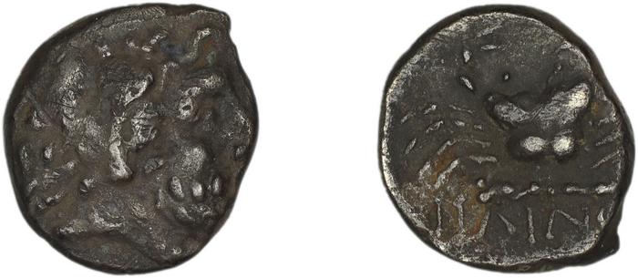 Cos Stefanaki 2012 7.20, реверс, bm