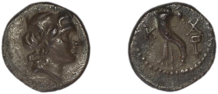 Caunus BMC Caunus 11, реверс, bm