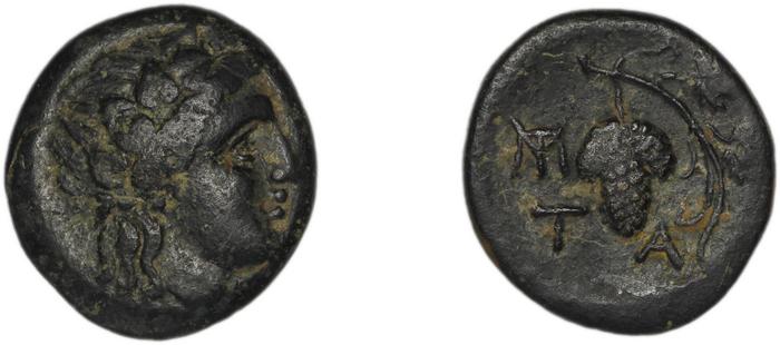 Temnus BMC Temnus 5, реверс, bm