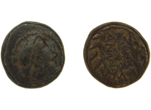 Sardis Hochard 2020 4.10, реверс, bm