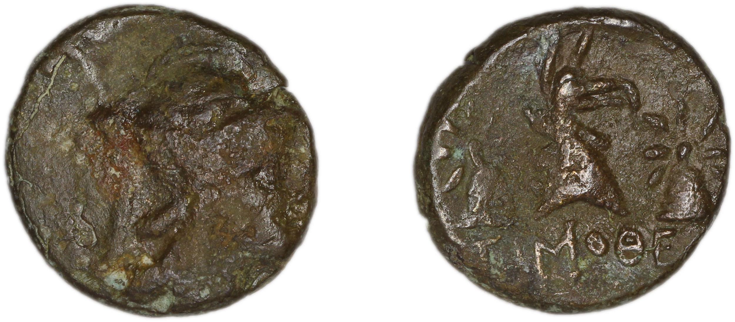 Phocaea SNG Copenhagen Phocaea 1036, аверс, bm