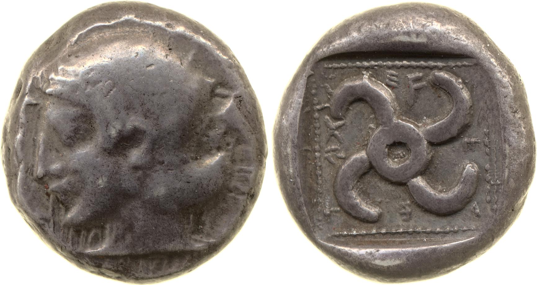 Teththiweibi Phellus Hoff 2017 M263-5, аверс, bm