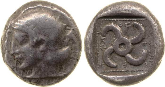 Teththiweibi Phellus Hoff 2017 M263-5, реверс, bm