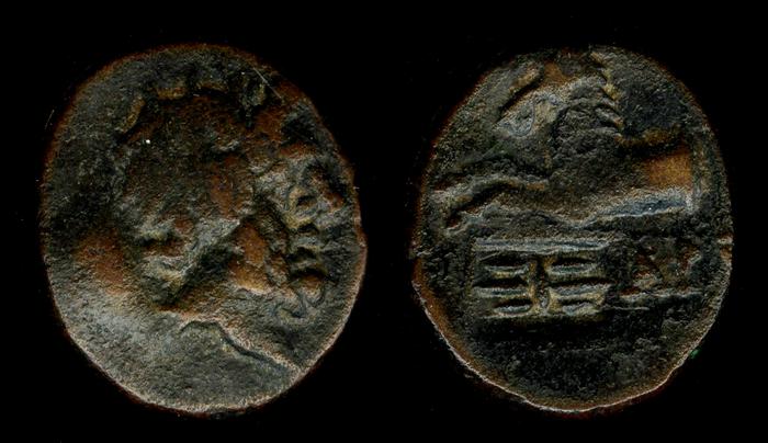 Termessus BMC Termessus Major 17-23, реверс, bm