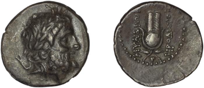 Myndus Zabel and Meadows 2002 Group A, реверс, bm