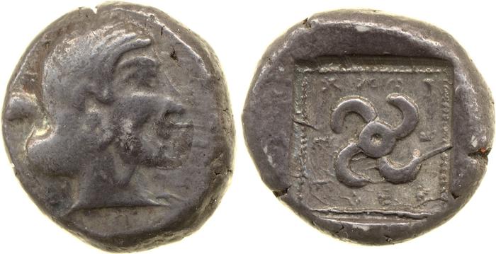 Teththiweibi Phellus Hoff 2017 M263-5, реверс, bm