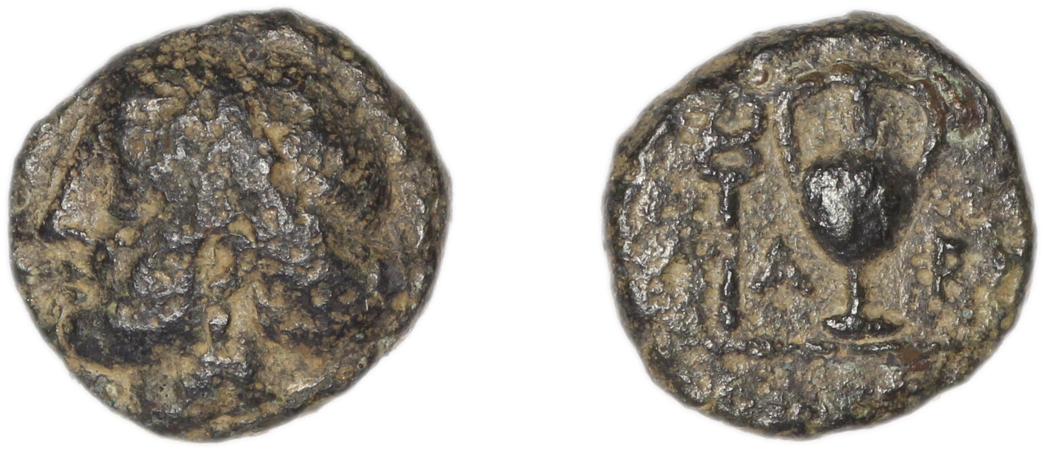 Larissa Phriconis Babelon 1910 2069, аверс, Британский музей