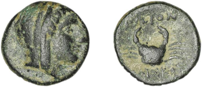 Cos Stefanaki 2012 7.26, реверс, bm
