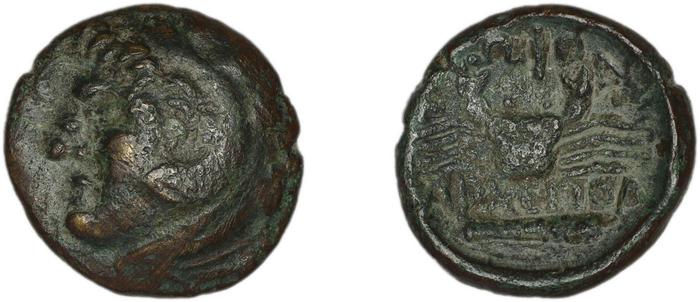 Cos Stefanaki 2012 7.24, реверс, bm