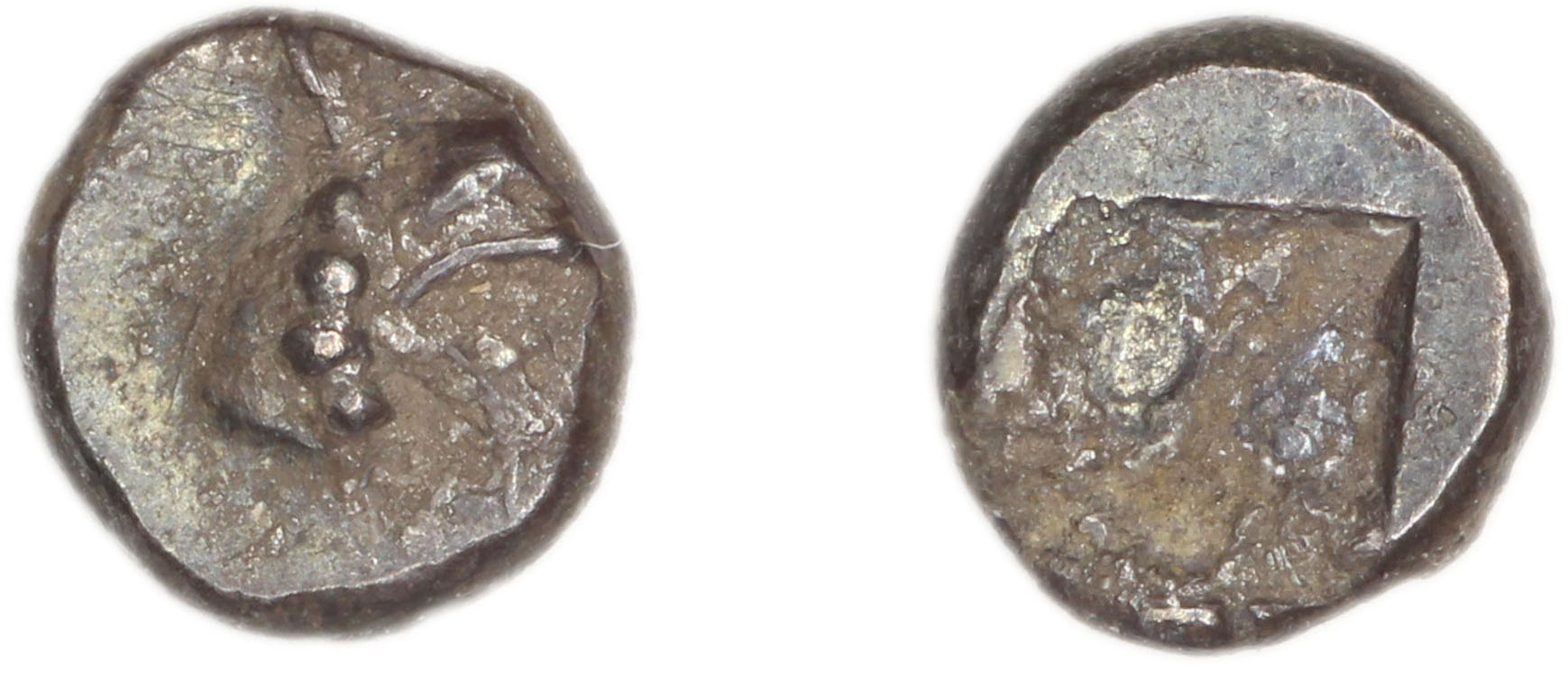 Phocaea Babelon 1907 523-9, аверс, bm