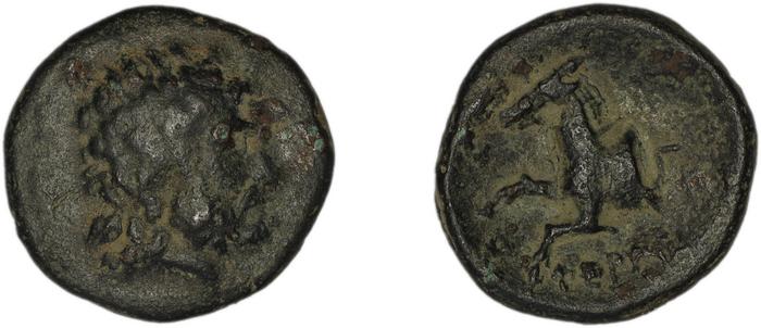 Termessus BMC Termessus Major 17-23, реверс, bm