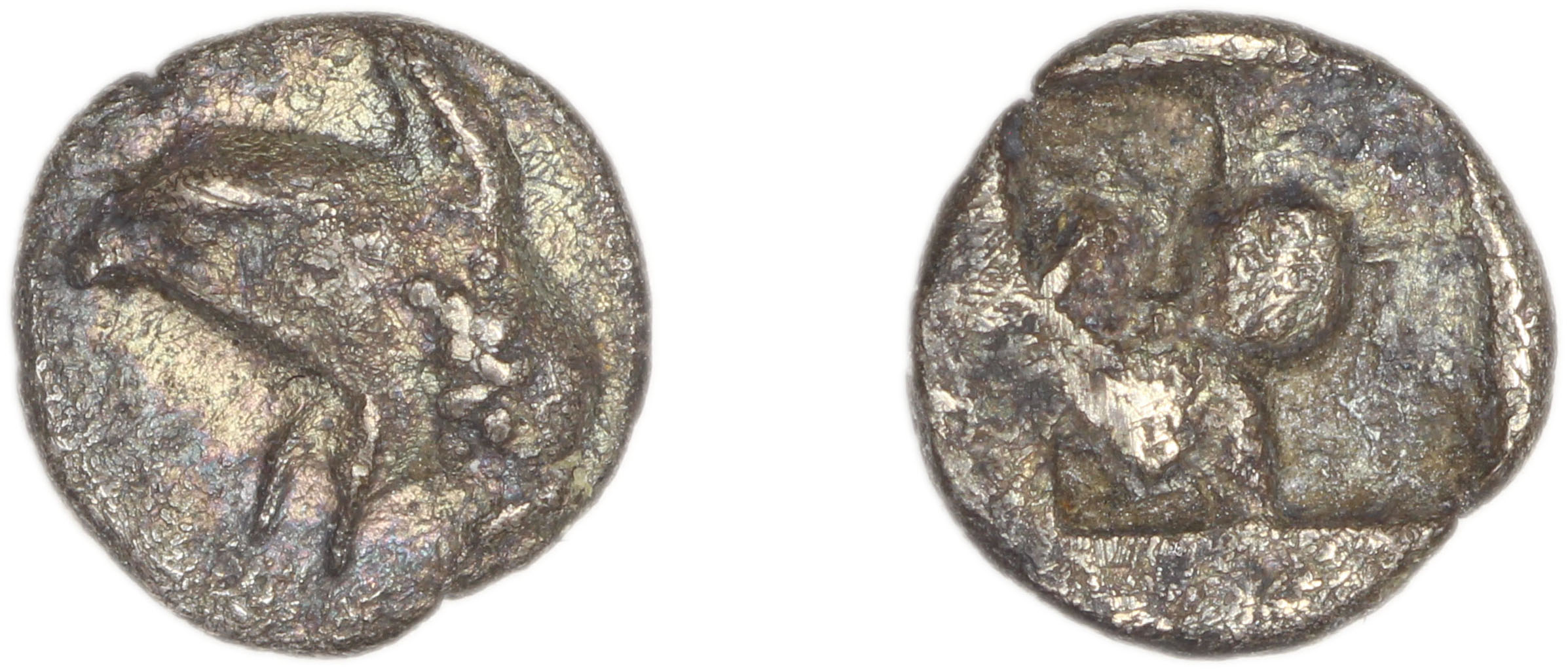 Phocaea Babelon 1907 523-9, аверс, bm