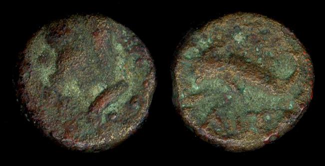 реверс Antiphellus Tek 2006 2