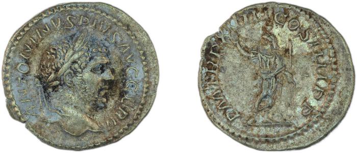 reverse RIC IV Caracalla 263F