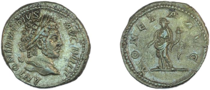 RIC IV Caracalla 224, реверс, Британский музей