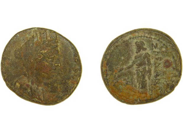 Sardis Hochard 2020 4.7, реверс, bm