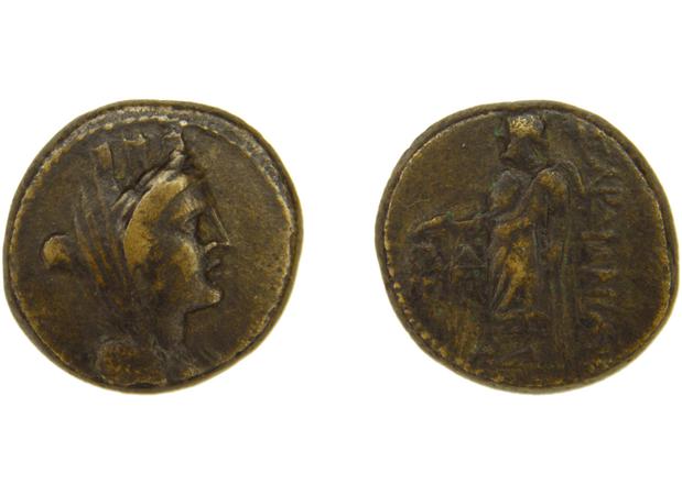 Sardis Hochard 2020 4.7, реверс, bm