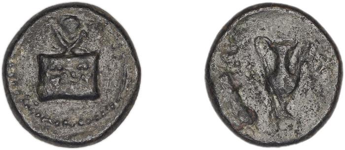Cyme BMC Cyme 95, реверс, bm