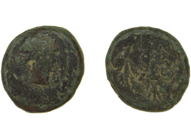 Sardis Hochard 2020 4.10, реверс, bm