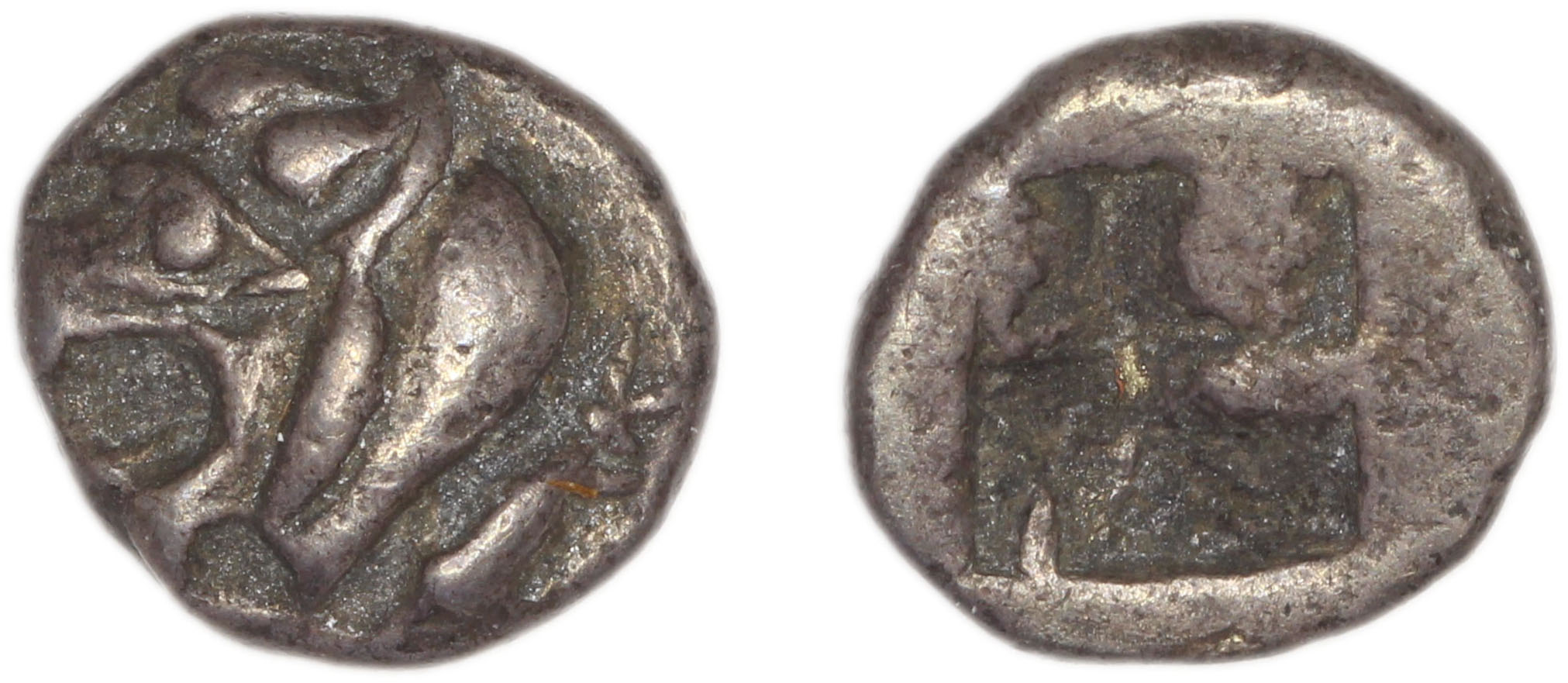 Phocaea Babelon 1907 523-9, аверс, bm