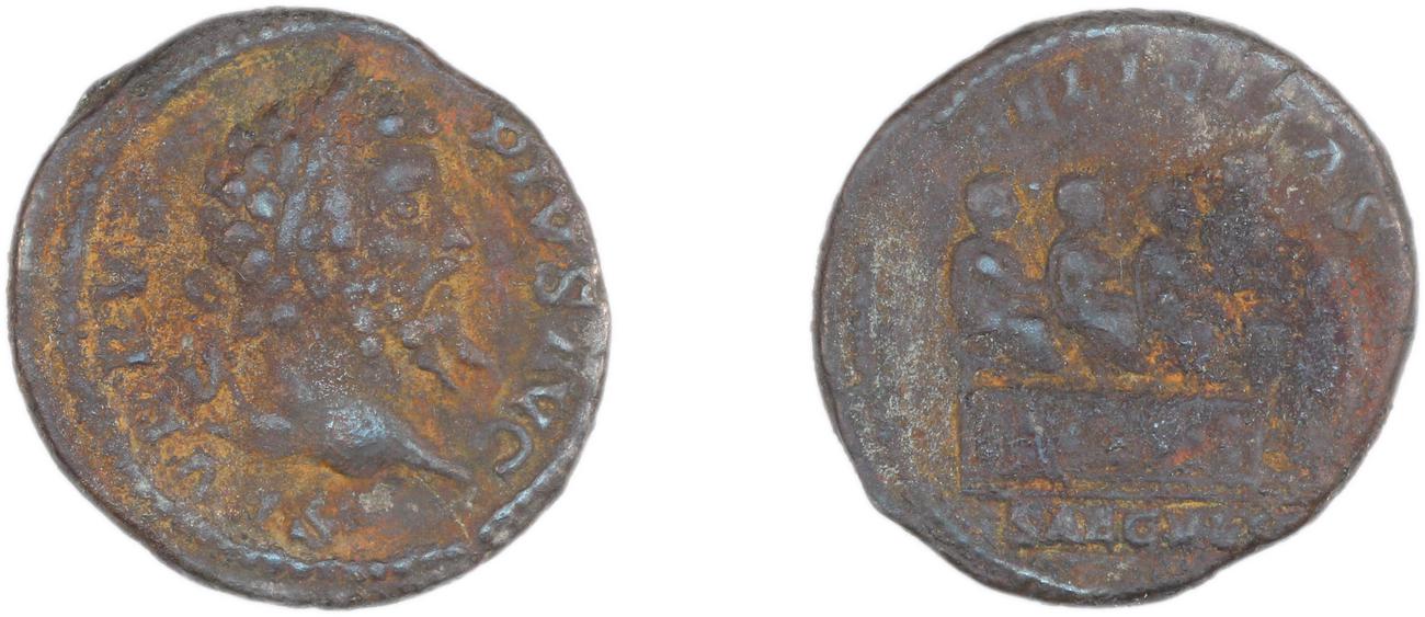 obverse RIC IV Septimius Severus 263