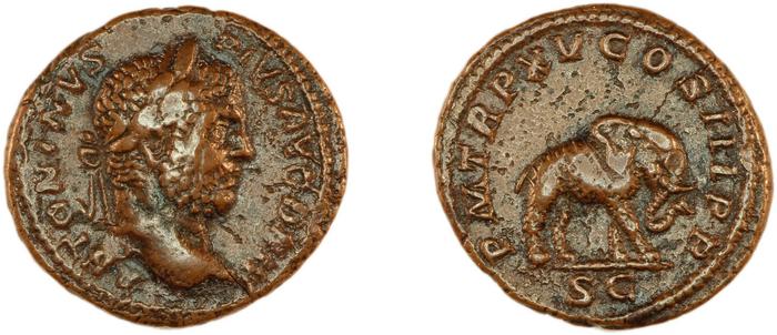 reverse RIC IV Caracalla 495