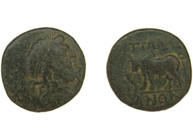 Tralles BMC Tralles 63-5, реверс, bm